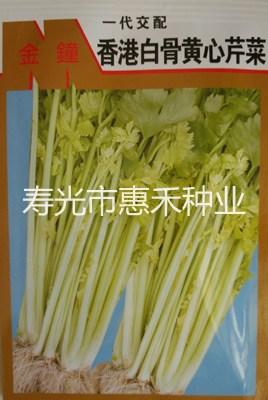香港白骨黄心芹菜