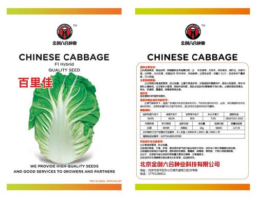寿光惠禾种业-百里佳耐热白菜种子
