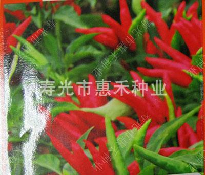 亚复
