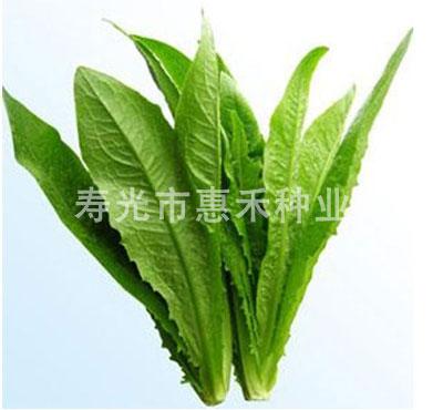 油麦王